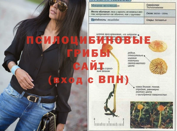 a pvp Абинск