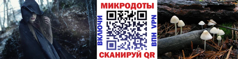 ссылка на мегу вход  Курск  Псилоцибиновые грибы Psilocybine cubensis 